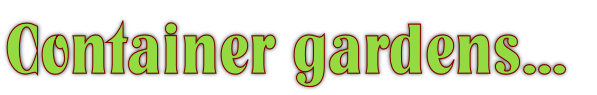 Container gardens...