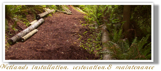 Wetlands installation, restoration,& maintenance