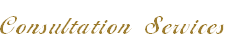 Consultation Services