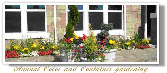 Annual Color and Container gardening