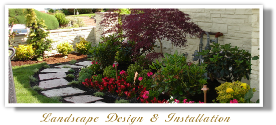 Landscape Design & Installation