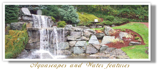 Aquascapes and Water features